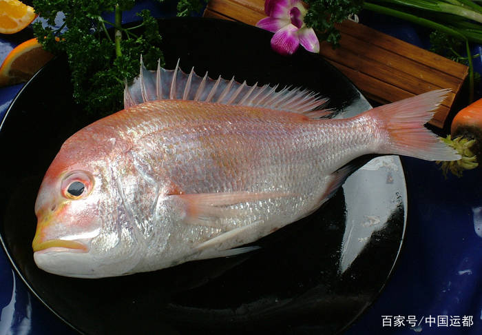 威海运都鲜推荐嘉鱼头鲅鱼尾刀鱼肚纯纯嘴