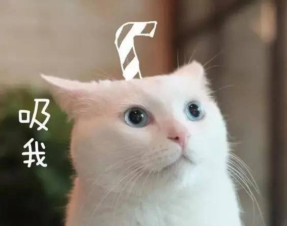 256f35e159484ba698e0474080bcbe98.jpeg