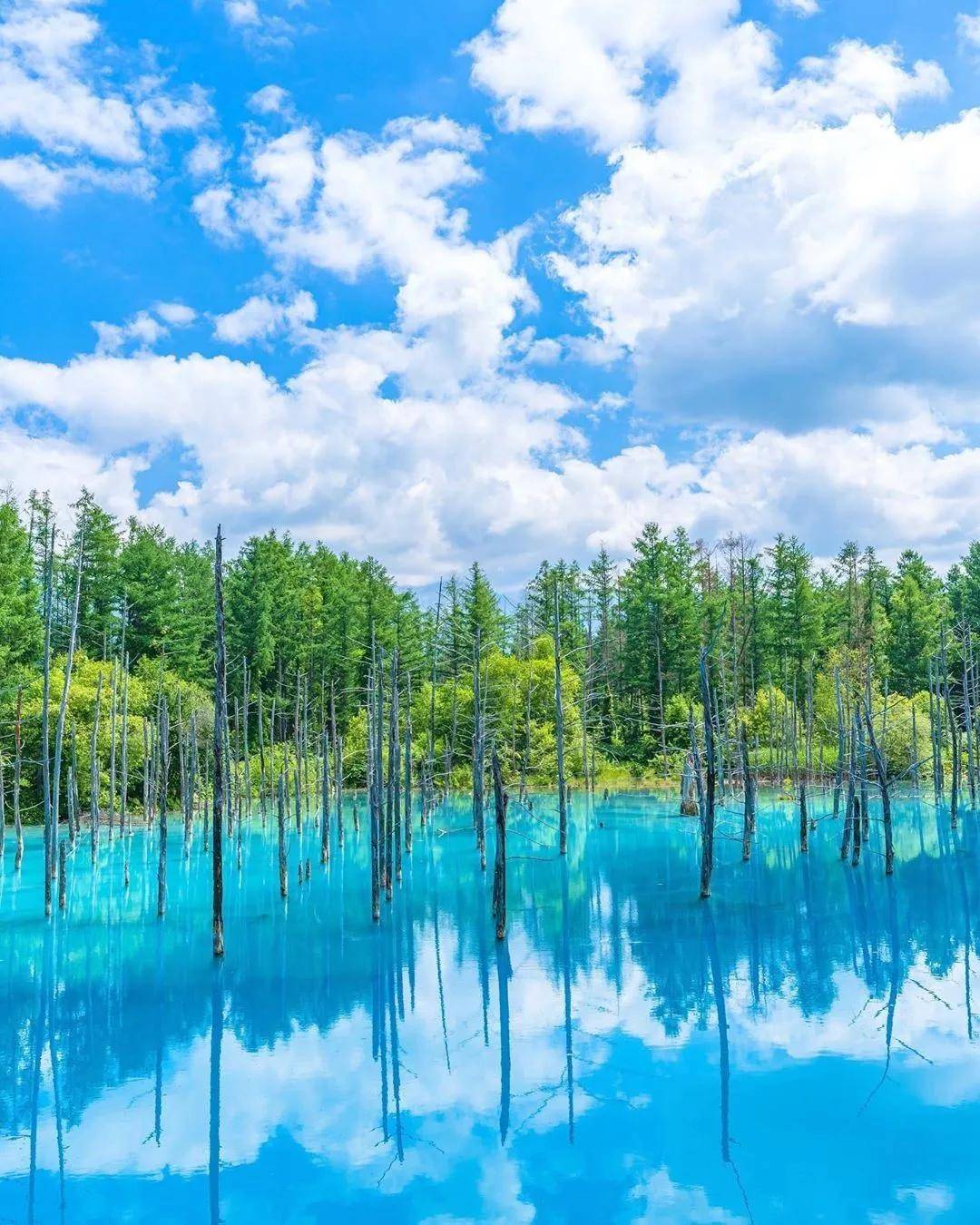 夏天蓝得这么美