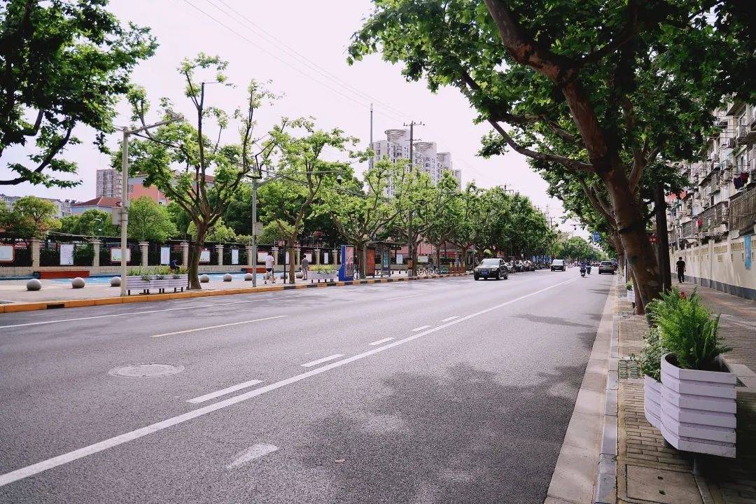 新成路街道