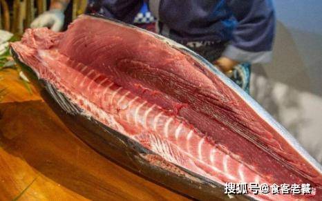 世上最贵的鱼500万 8cf29a301c4943baa5f1c625c005f843.jpeg