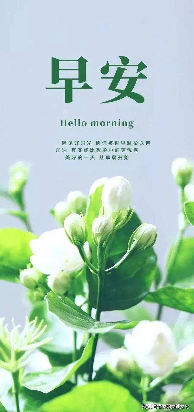 今天是最美好的一天_搜狐网