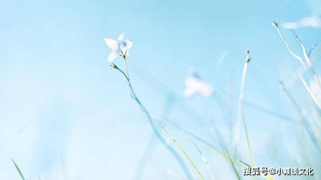59a2b1077d1b4b0c95d70df836134ab4.jpeg
