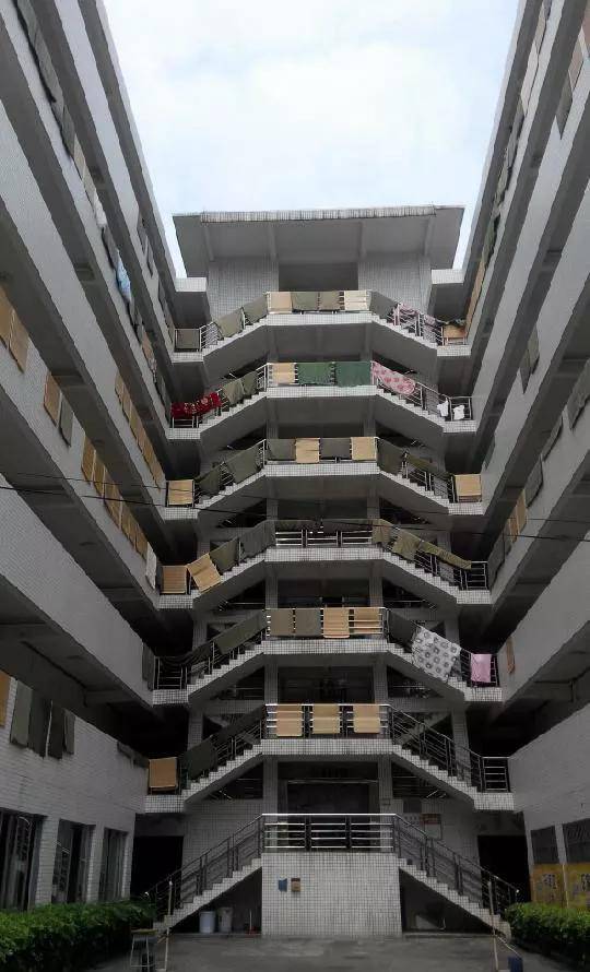 新鲜看公办院校宿舍大合集快来看看你即将入住的宿舍长啥样