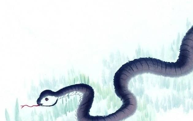 女性梦境中的神秘访客，解读我梦见蛇的深层含义