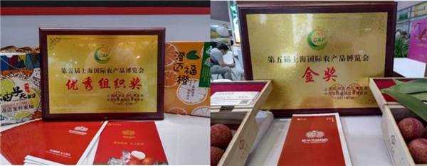 海南澄迈县携多种特优农产品亮相上海CAF农博会，单日订单量破千万！