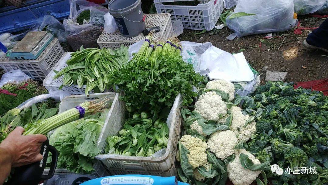 马驹桥镇"周营大集"开了!距离亦庄最近的郊区大集