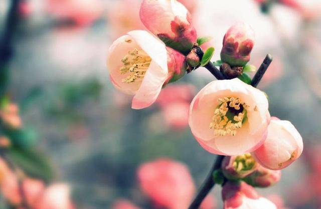 6月12日 6月19日 财运大旺越过越好 越过越有钱的生肖 贵人