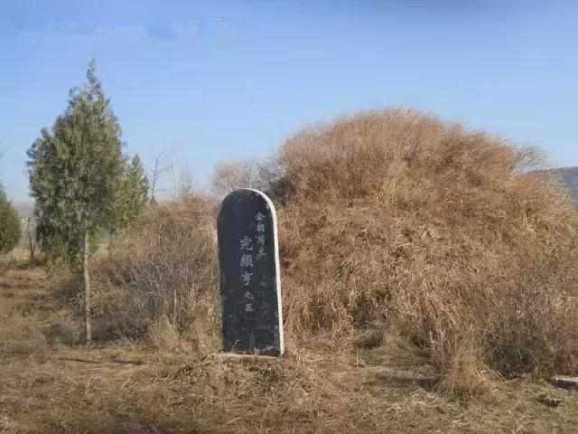 全村人有一愿望:改回皇家祖姓,遭到了拒绝_村子