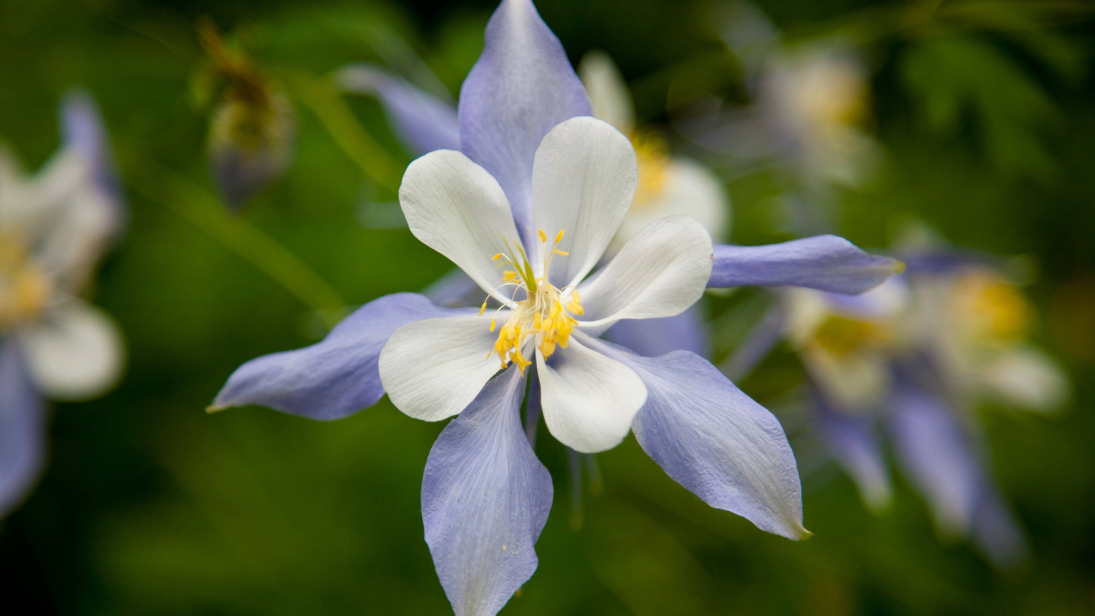 6月12日星座运势 白羊深思熟虑 天秤积极主动 射手有条不紊 工作