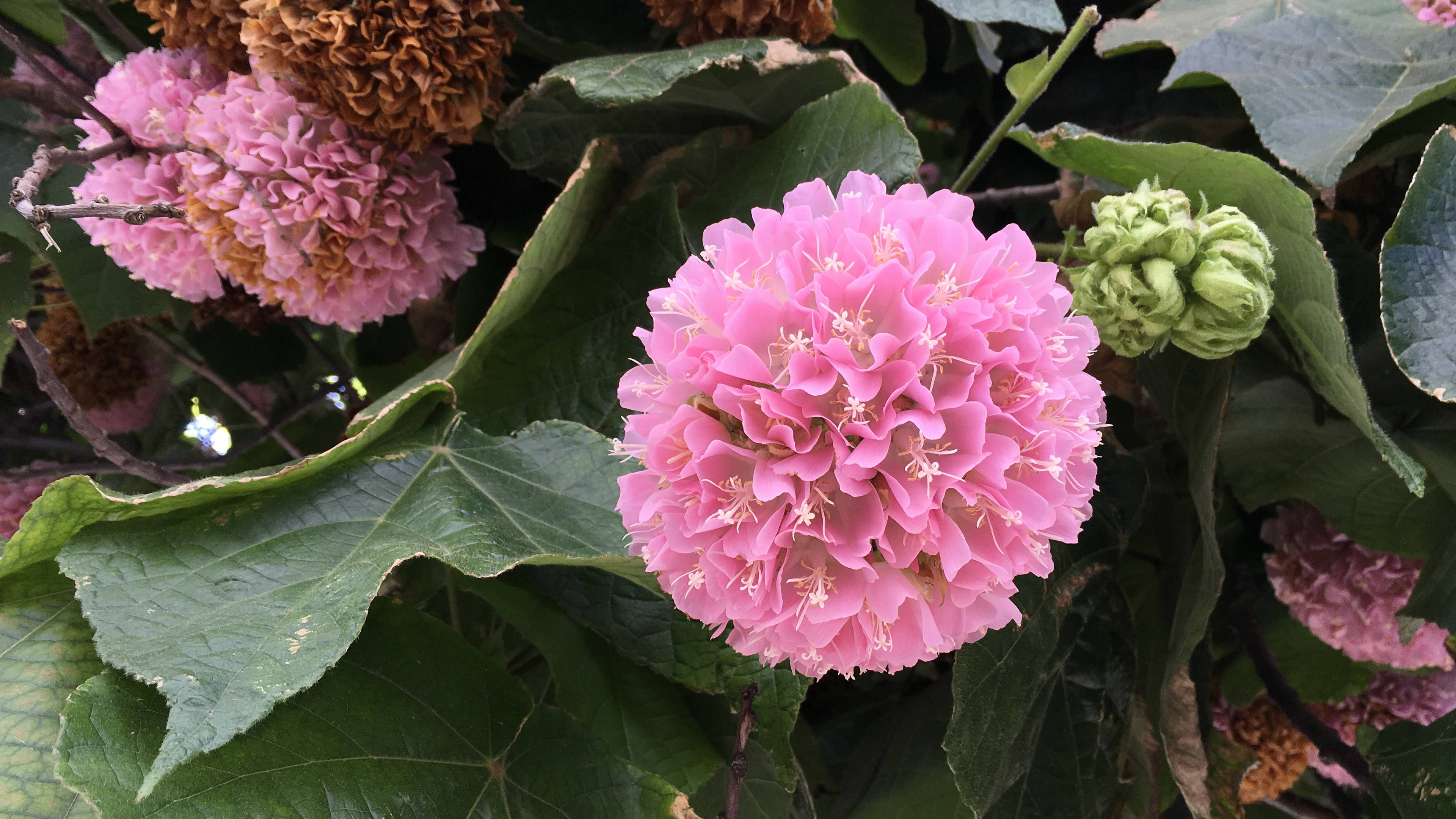 6月12日星座运势 实力大增 胸有成竹的四大星座 生活