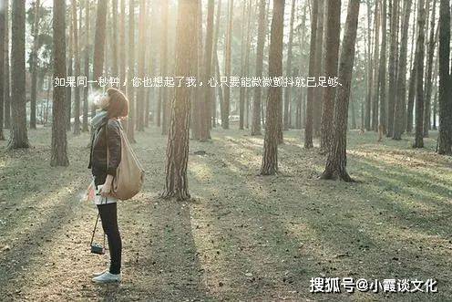 什么样才是真正的释怀 b565c09081564b49bd3ae5a3ea834967.jpeg
