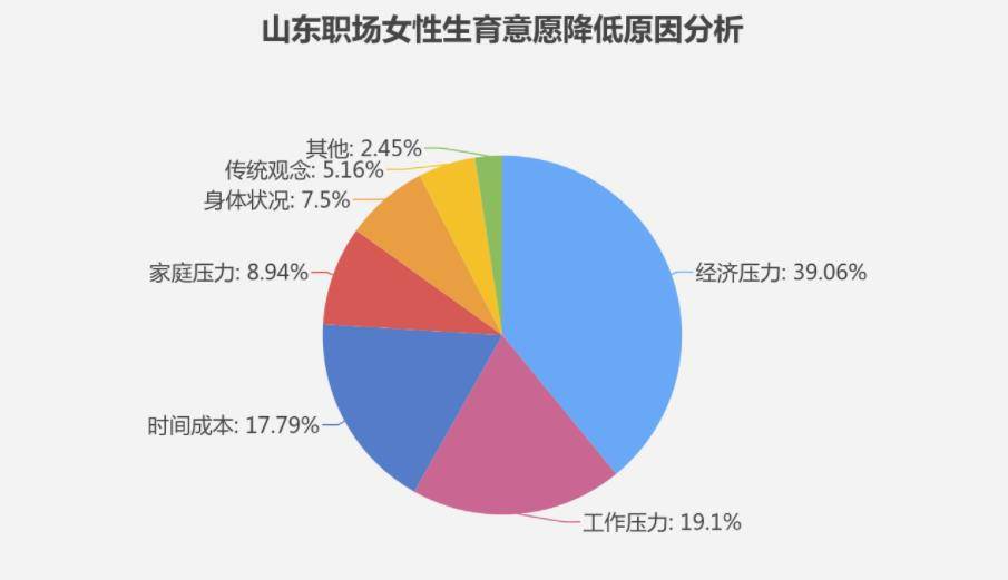 两大人口问题和影响_人口和健康问题图片(2)