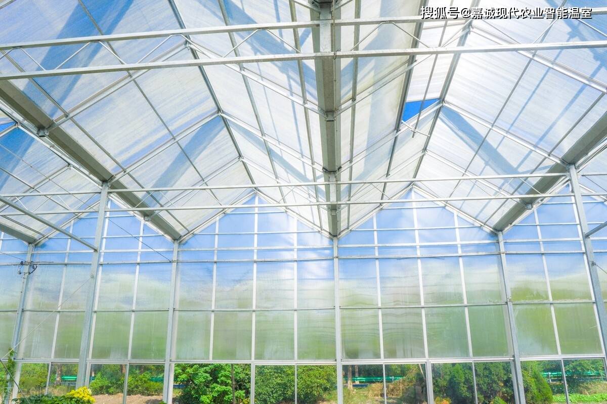 荷兰玻璃温室大棚代表着世界设施农业的技术最高端,其温室出口至世界