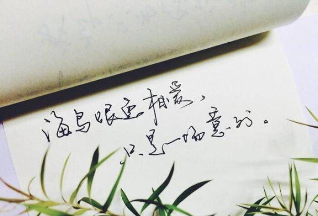 37a2b3b5155d4dafa7858ad308934b80.jpeg