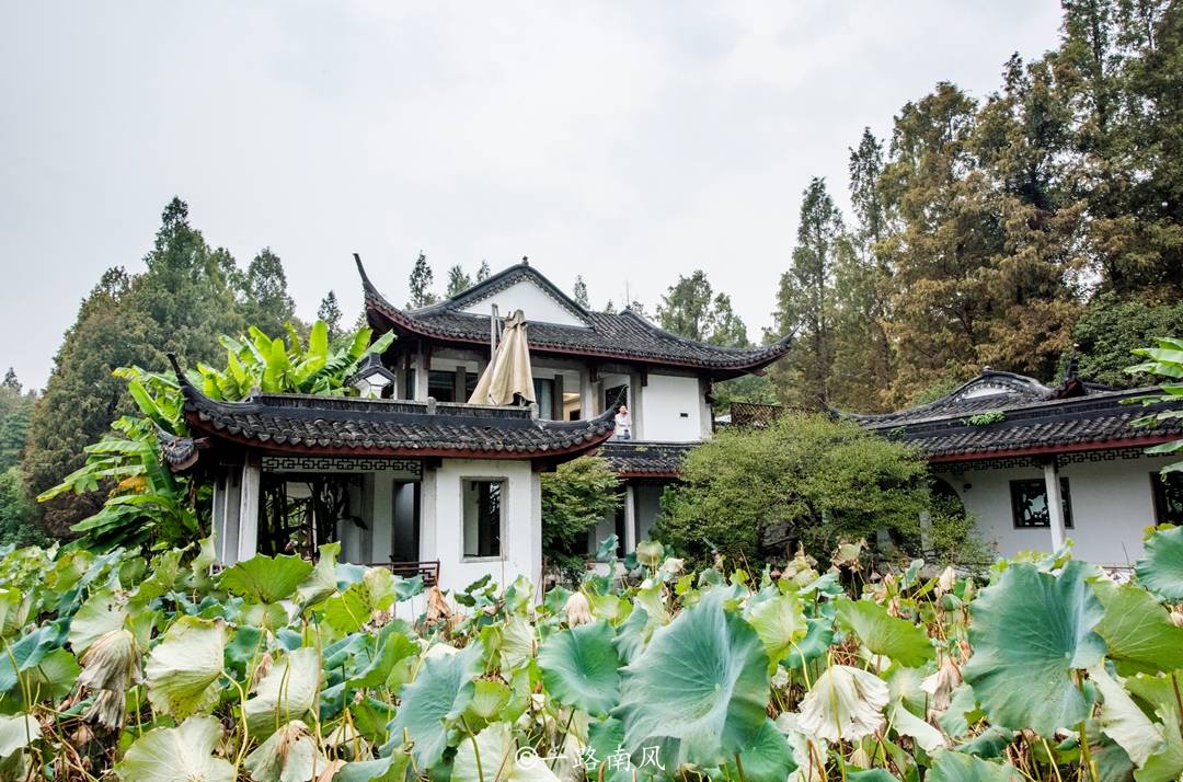 湛碧楼是一座营业性质的茶楼,也是开放式的免费景区,湖中有亭,亭前有