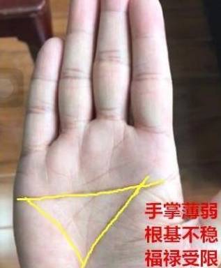 什么样的是断掌 65c08b5709be4c7ca20f0bc431ff1701.jpeg
