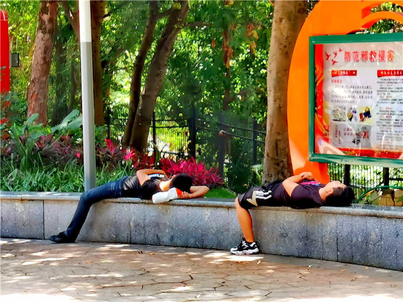 原创实拍公园里的"平躺族",无烦无恼无忧愁