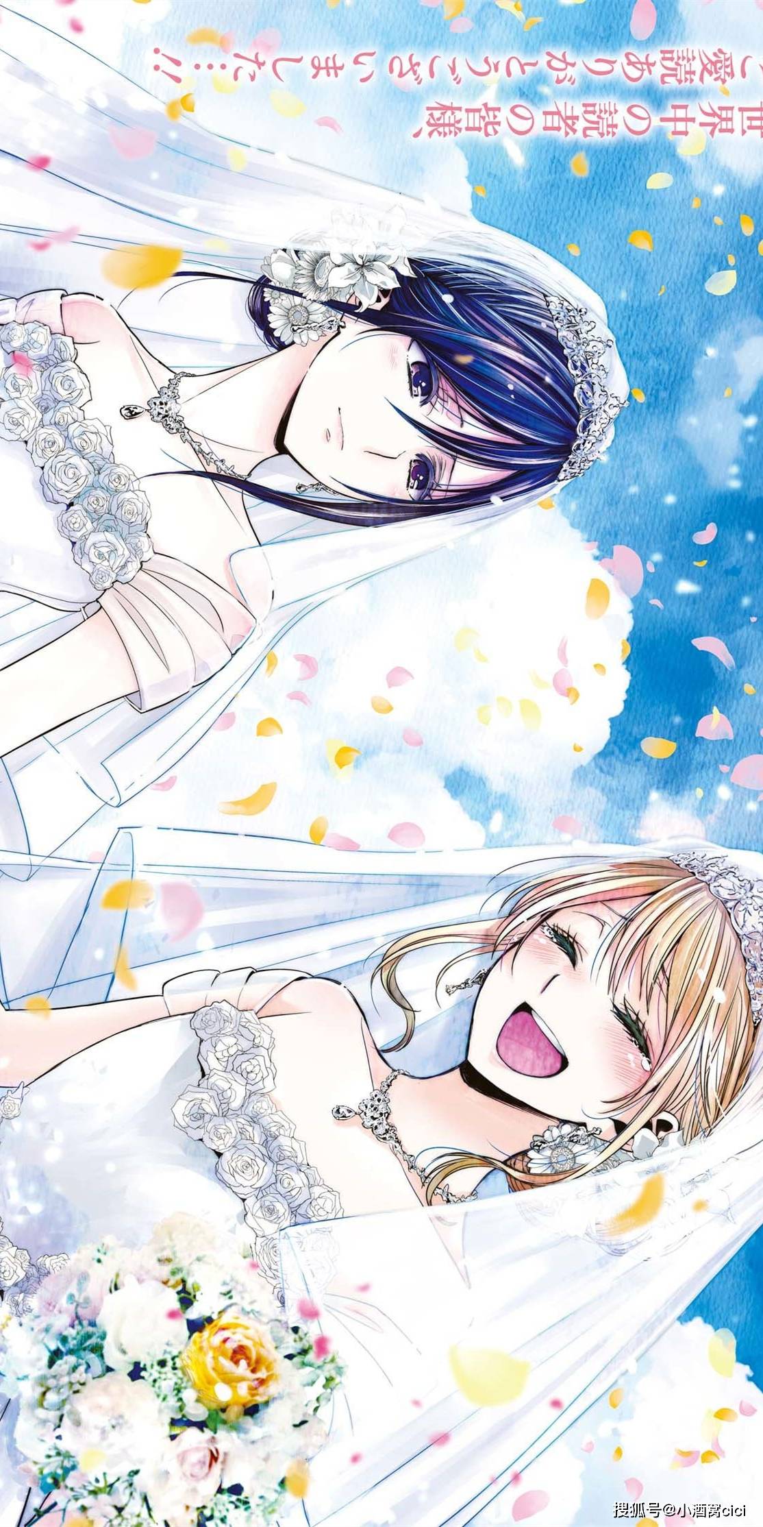 柑橘味香气 蓝原柚子和蓝原芽衣的超甜预警 全面屏壁纸