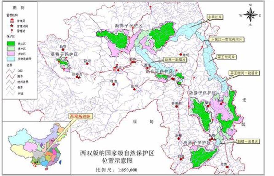 ​专家:可能扎根玉溪,冬季回西双版纳_大象