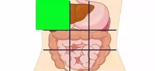 e9623cd5bdec477392ad3fb5dd9422ac.jpeg