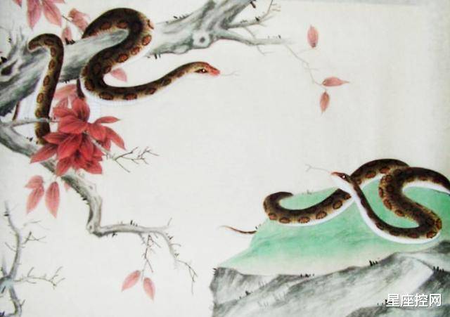 蛇是什么时辰生的 45f4ab95614a487cb58f624fb4ce2156.jpeg