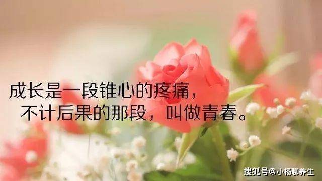 5502cf034bfe41a0aa2e710493e1ccd6.jpeg