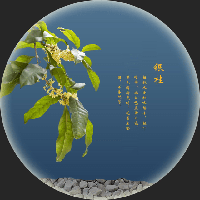 桂脉·悠悠万年展厅一桂花文化体验馆(七大主题展厅)桂花公社里都有啥