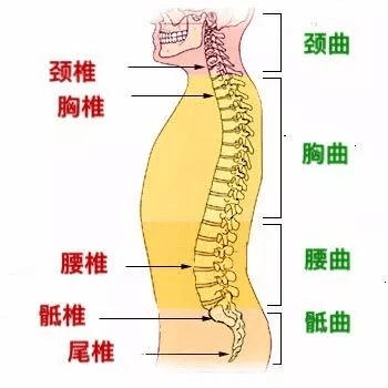 b2a893e70c1146a7a3e912f79e7181e5.png