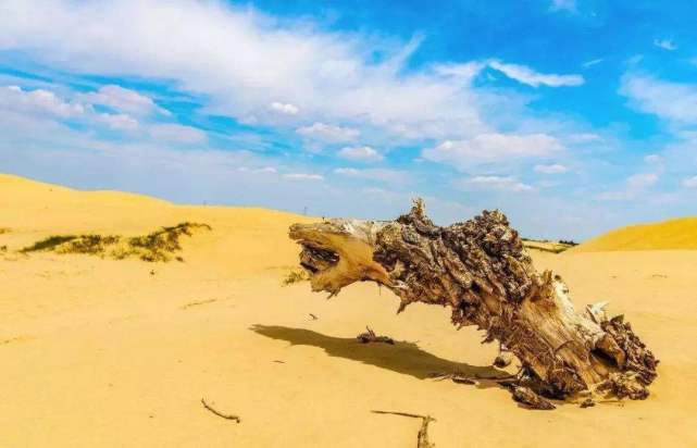 沙漠排行_全球排名前十的沙漠,中国拥有两个,第一名面积达900万平方公里