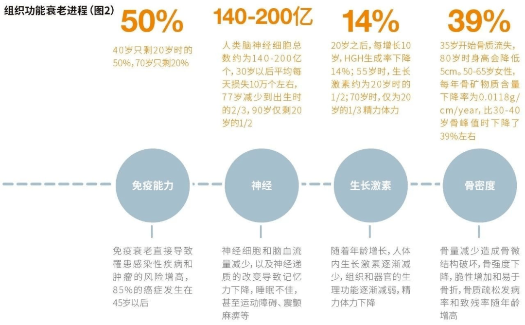 人体的衰老是一个从20岁开始渐进的过程,不同器官