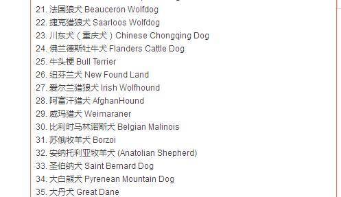 养狗排行榜_世界五大禁养犬排名!个个凶猛之极无人敢靠近,藏獒只排最后一名