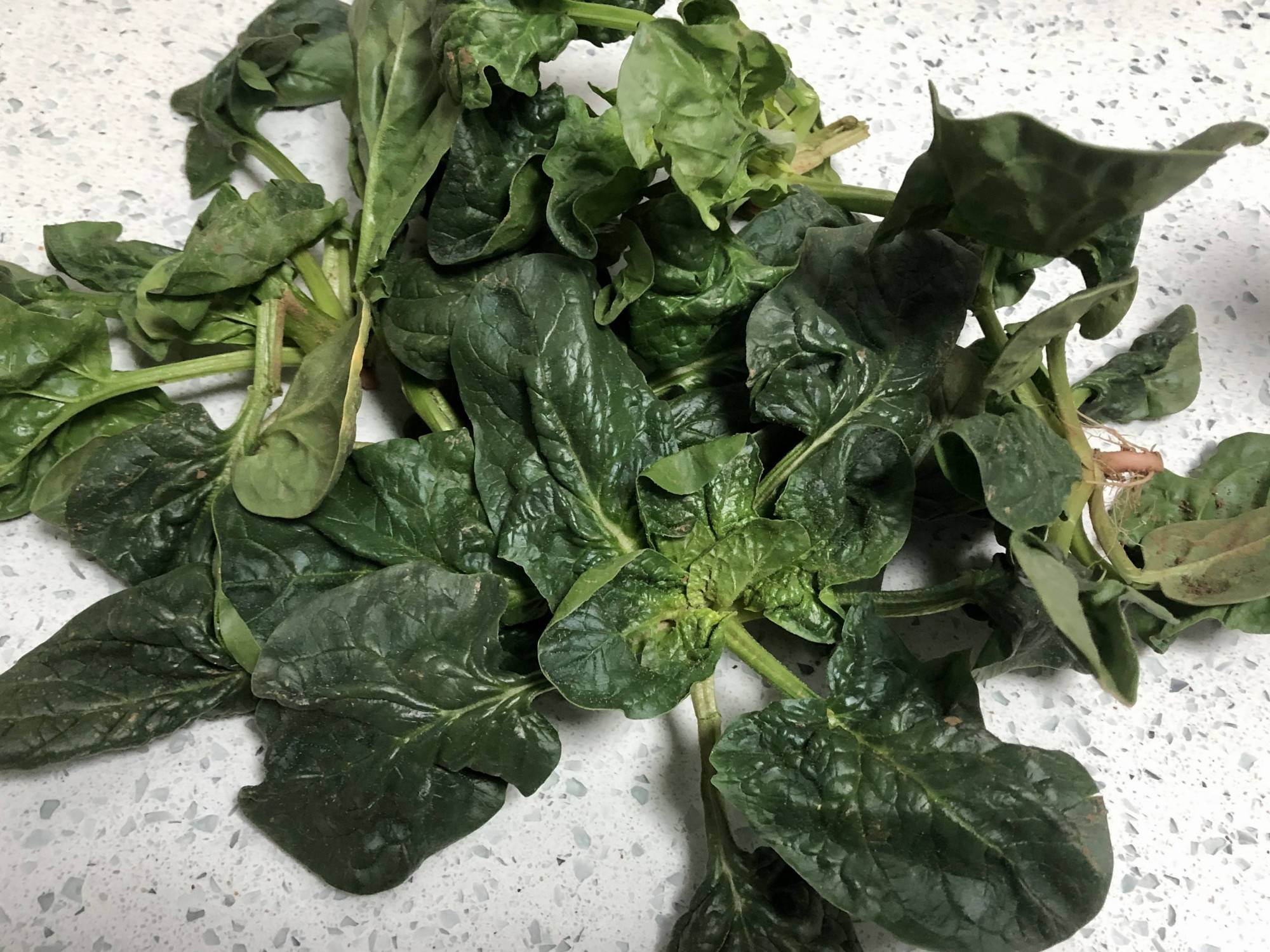 春天遇到这菜别手软,9毛9一斤,补钙促发育,孩子吃了长个子