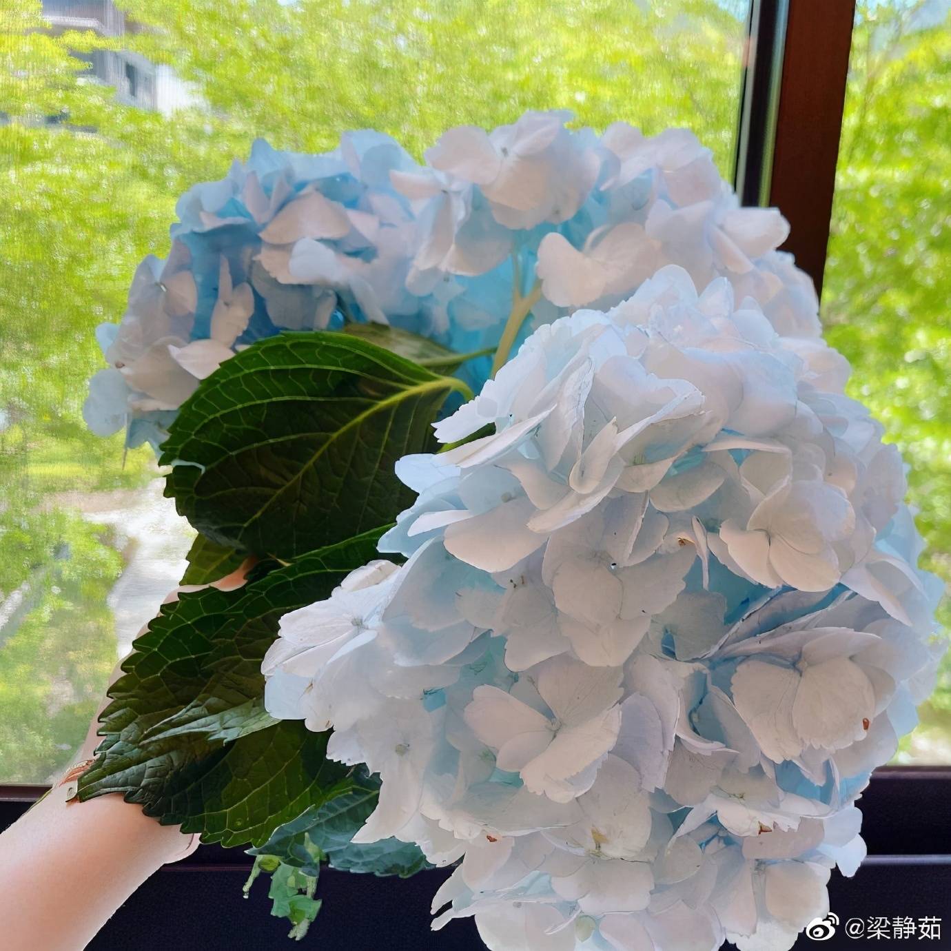 梁静茹手捧鲜花庆43岁生日 7岁爱子甜蜜献吻 与范玮琪正式决裂 克里斯汀