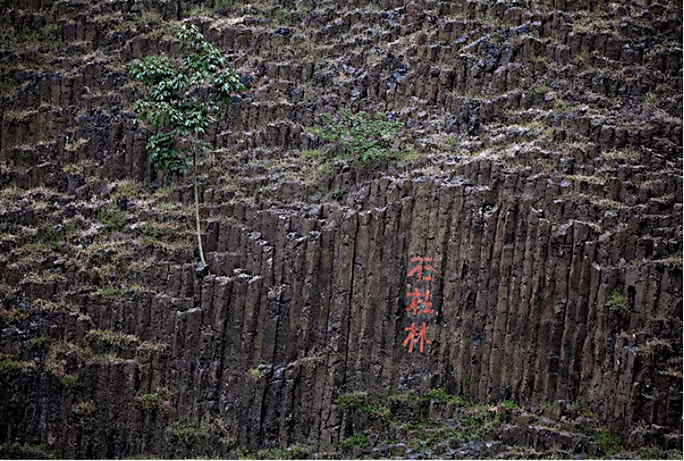 桂子山石柱林风景区图片