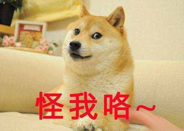 0adcd4954c664c6295e745a2b344d5a4.jpeg