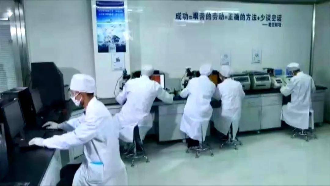 环境|来自大理！22株菌种搭乘神舟十二号，开启三个月的太空之旅！