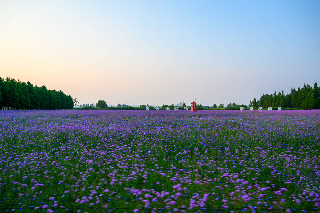 原創固城湖水慢城藏在國際慢城高淳的一道靚麗風景線兩天都不夠玩