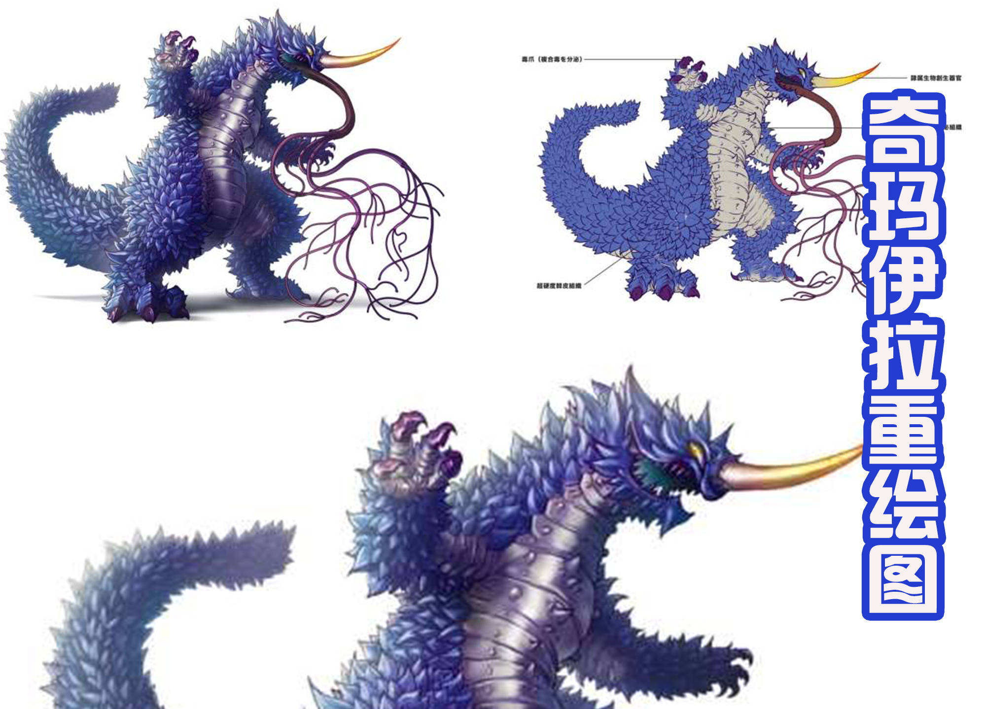 原创奇玛伊拉凭什么挑战特利伽?圆谷的厚爱,再加上频繁的登场