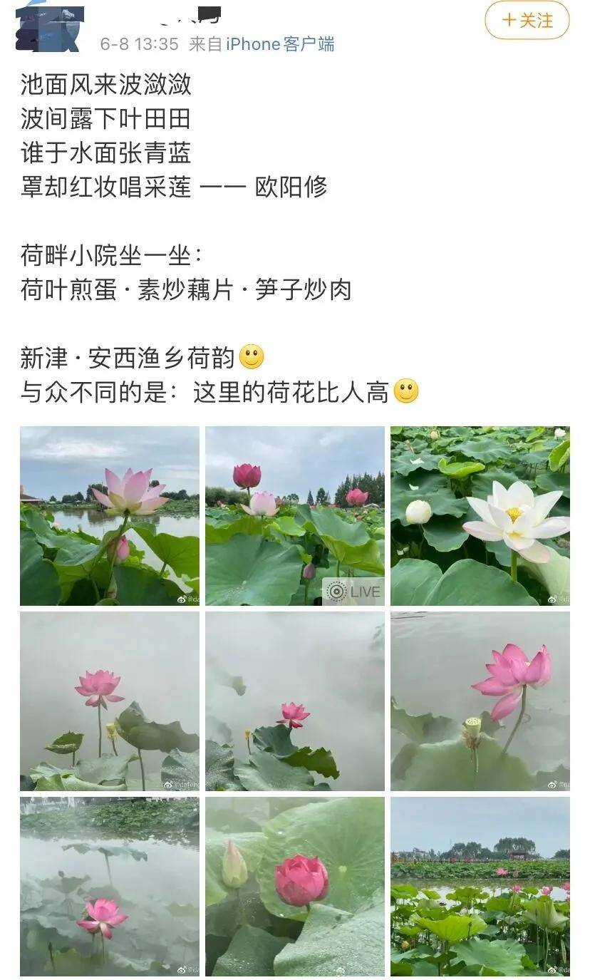 乌篷船简谱_乌篷船简笔画(2)