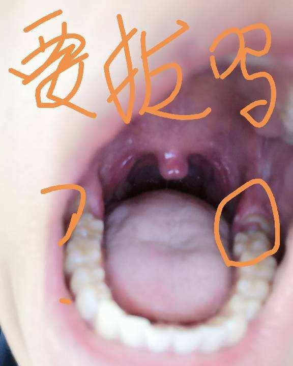 f25eb4caf07649a48601c6399d830341.jpeg