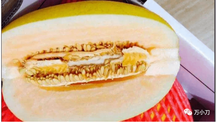 “女瓜王”的瓜_杨其祐