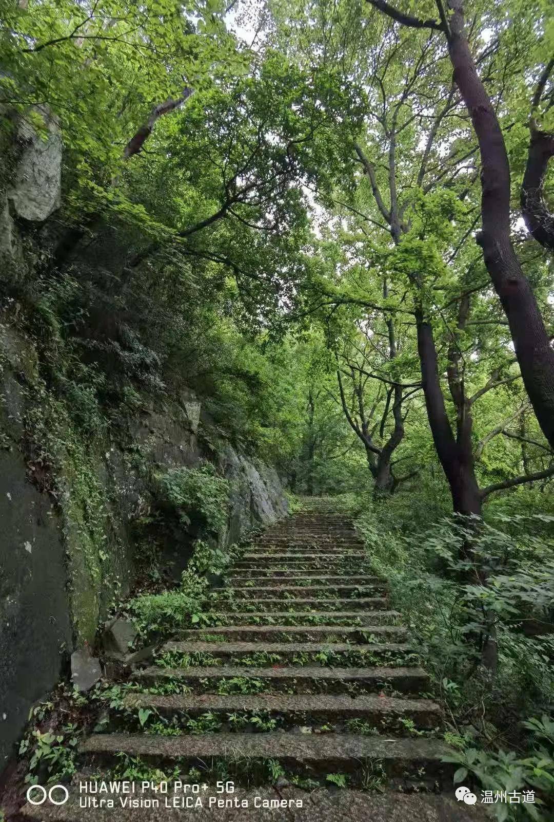 这条大罗山著名的红枫古道,明朝温州郡守曾经来此祈雨,你去过吗?