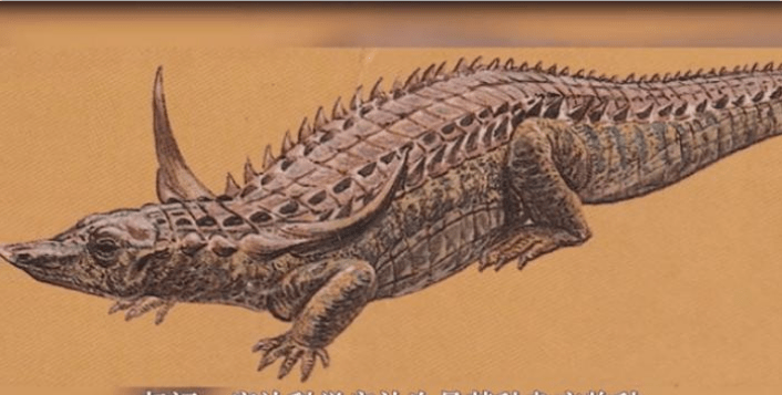 有角鳄作为植龙的近亲,长着叶状的牙齿,科学家由此