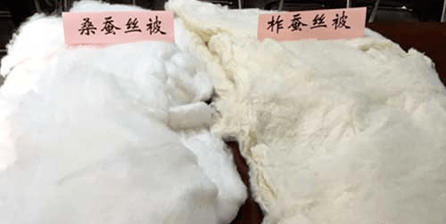 桑蚕丝与柞蚕丝的区别_什么