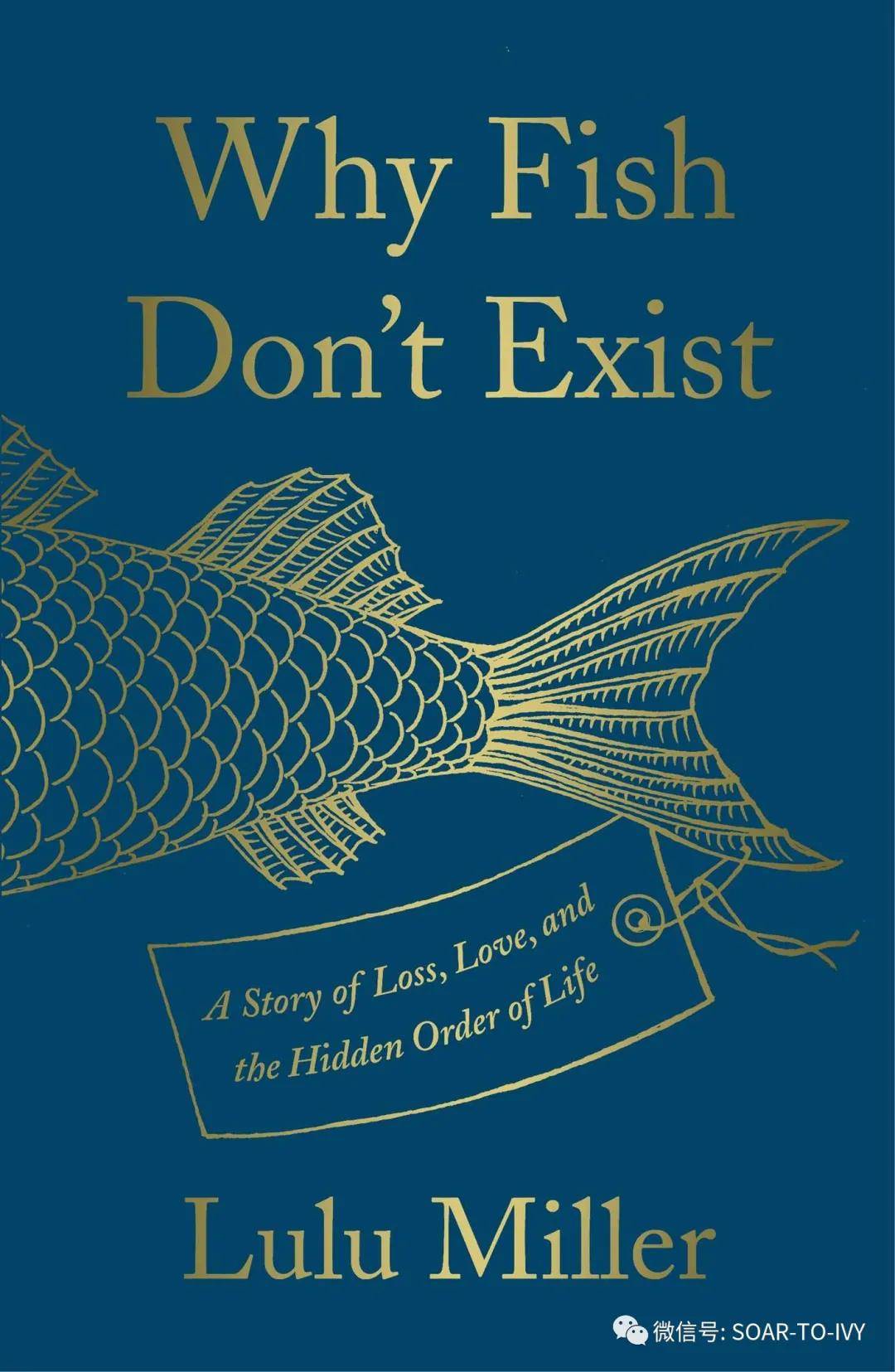 why fish dont exist: a story of loss, love, and the hidden