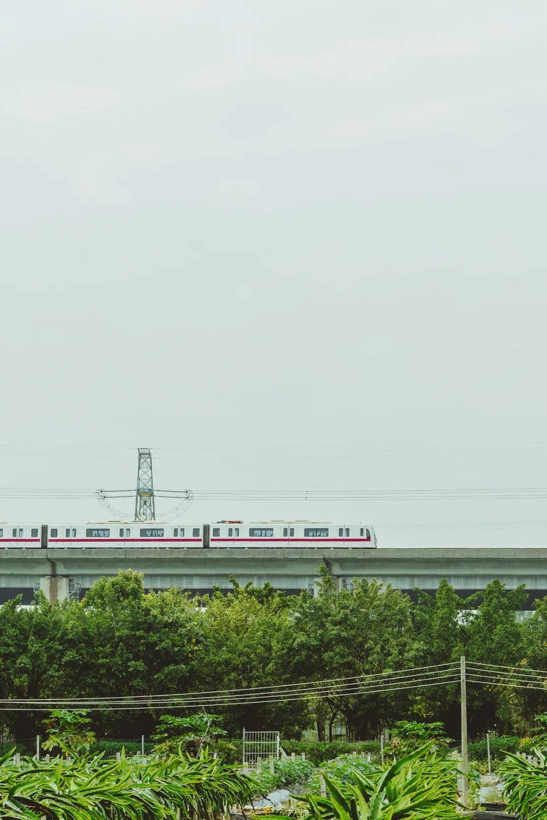 广州河沙站图片