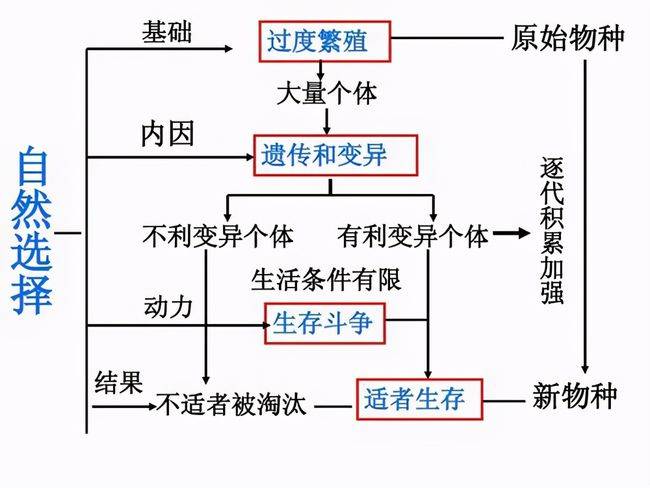 原创人类进化比任何时候都快到底是什么原因导致进化速度加快