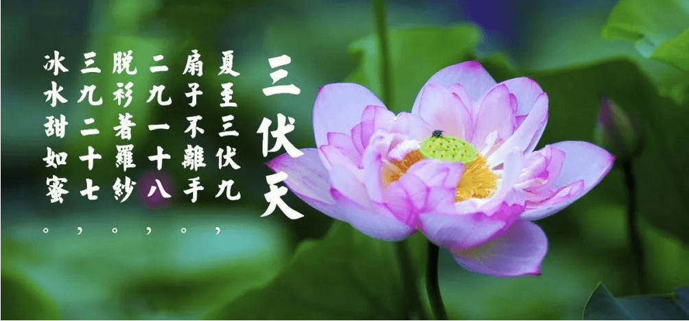 9667630830b641008b5be8c71c73f218.png