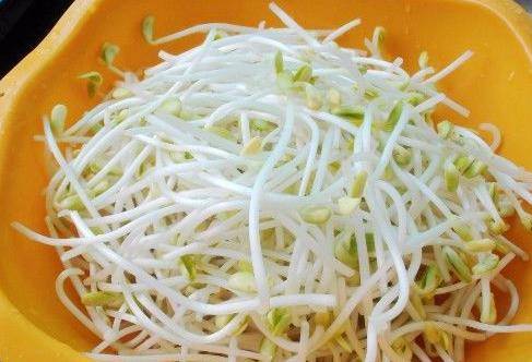 如何长豆芽 a9b1785917c04f818268677a826c54ff.jpeg